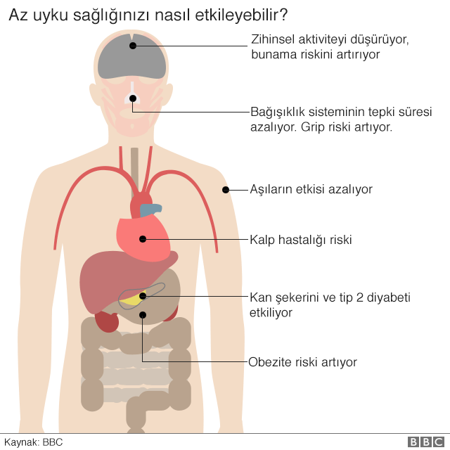 Uyku Ile Ilgili Bilmediklerimiz Hakkinda Faydali Bilgiler