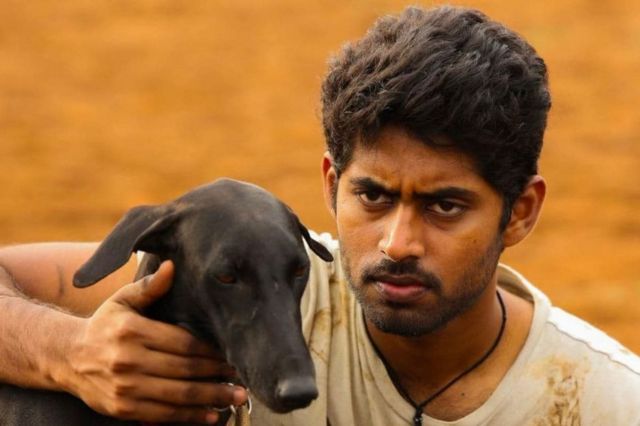 பரியேறும் பெருமாள்