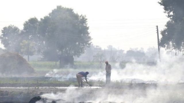 पराली जलाते किसान