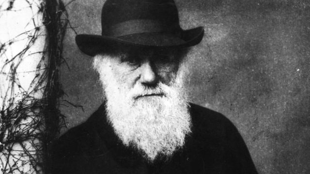 В Турции Из Школьных Учебников Выбросили Теорию Эволюции - BBC.