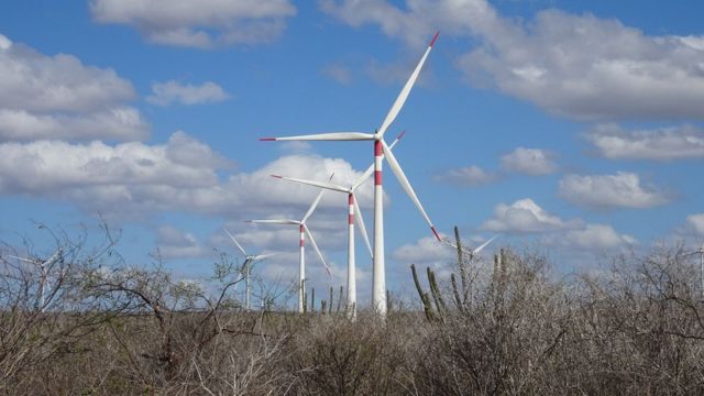 Impactos da construção de parques de energia eólica nas