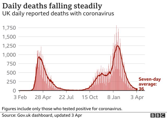 Graph showing daily deaths from coronavirus in the UK