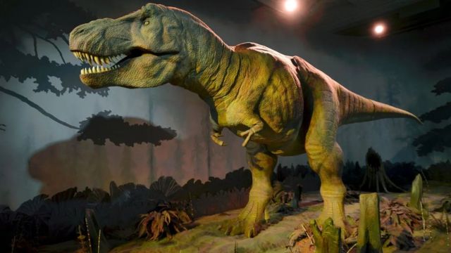 Tiranossauro Rex caminhava surpreendentemente devagar, descobre estudo