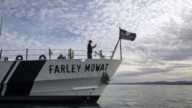 El buque Farley Mowat en el golfo de California