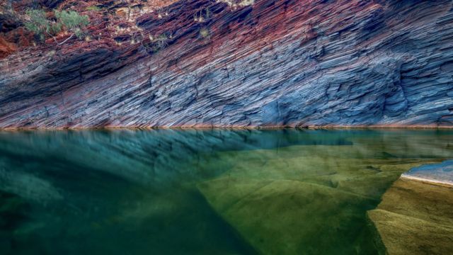 Découverte incroyable en Australie du fossile de la deuxième plus