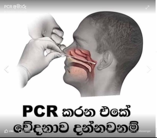 PCR test Sri Lanka