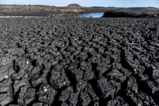 Tramos seco del río Santa Lucía sobre la represa de Paso Severino que abastece de agua a Montevideo.