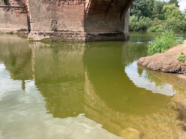 The River Wye turned green by algae