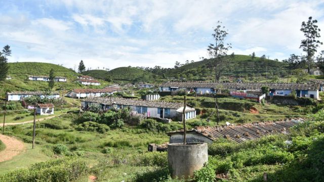 மாஞ்சோலை எஸ்டேட் - இன்றைய நிலை