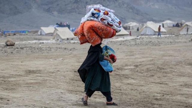 افغان پناہ گزین، پاکستان