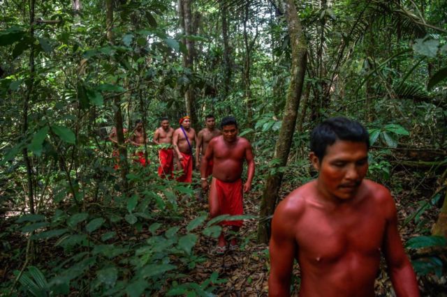 Indígenas amazónicos caminando por la selva.