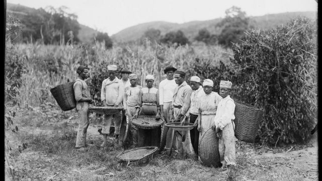 Fazenda de café com escravizados