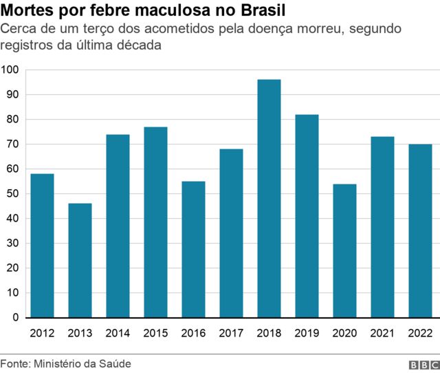 Mortes por febre maculosa