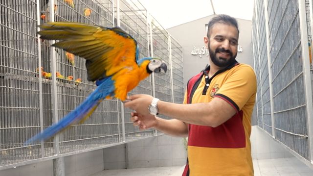 பாகிஸ்தான், பறவைகள்