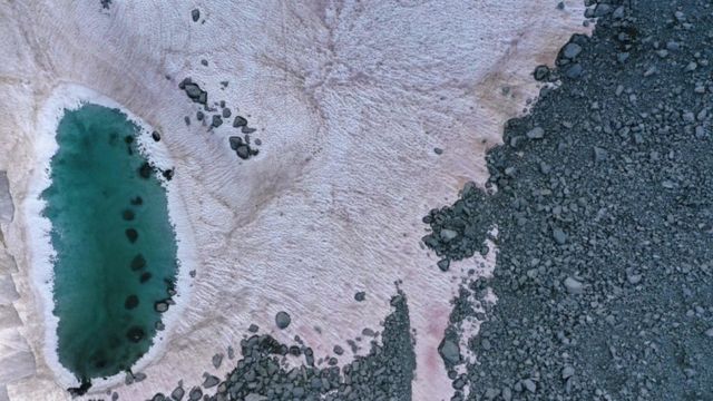 ITALY-MOUNTAIN-ENVIRONMENT-SNOW-ALGAE