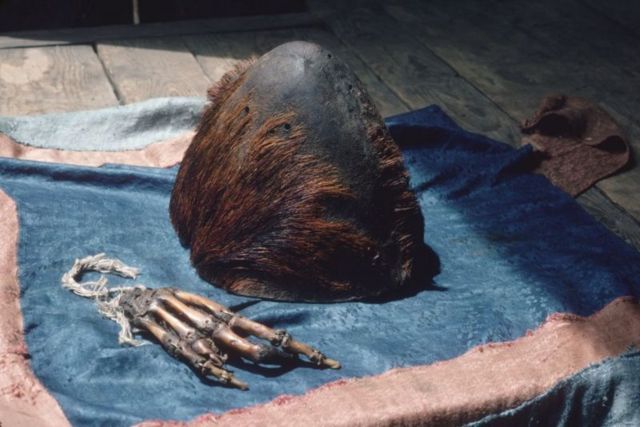 Parte do couro cabeludo e uma mão, que supostamente pertenceriam a um Yeti, em um pano azul