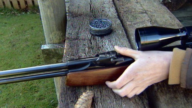 Air gun