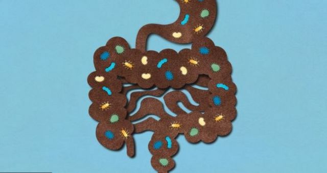 பாக்டீரியாக்களின் அழிவை பாதுகாக்க