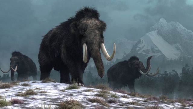 Mammoths walking in the snow at night