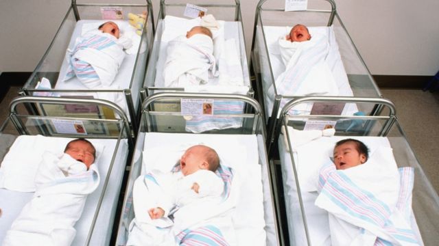 Bebés en el nido de un hospital