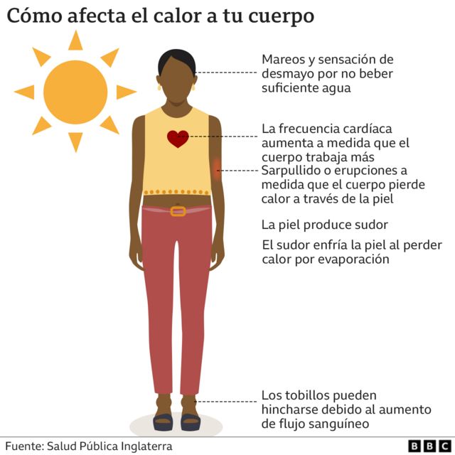 Infografía sobre los efectos del calor en nuestro cuerpo.