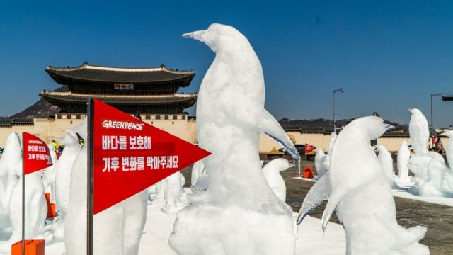 환경단체 그린피스가 광화문 앞에 얼음으로 조각한 펭귄을 전시해 기후변화 대응을 촉구하고 있다