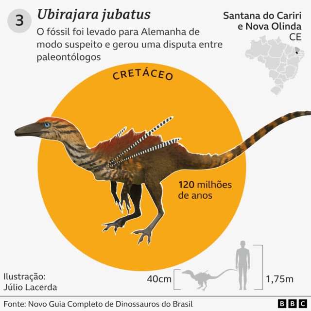 Dinossauro carnívoro brasileiro revelado por meio de fóssil