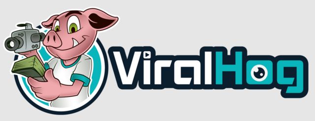 The ViralHog Logo