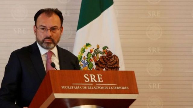 وزير خارجية المكسيك لويس فيديغاراي.