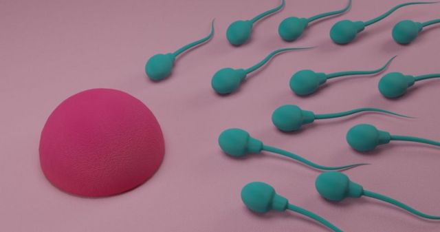 குழந்தை, மாசுபாடு, மலட்டுத்தன்மை, கருவுறுதல்