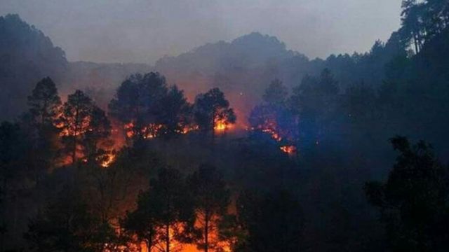 India-Forest Fire
