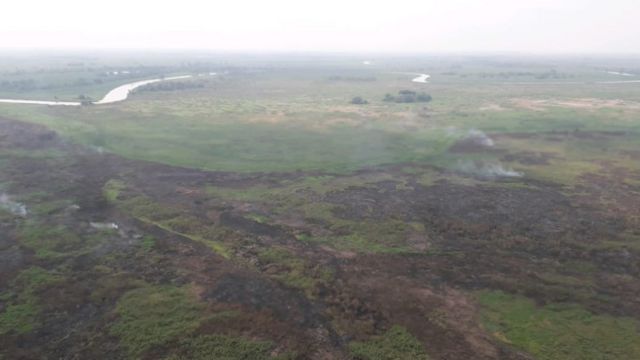 Estação ecológica de Taiamã, no Pantanal - foto mostra linha onde brigadistas impediram o fogo