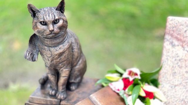 Street Cat Bob Statue Unveiled To Animal That Inspired Books And S Bbc News - Cat Garden Statue Canada Street Cat Bob Statue Unveiled To Animal That Inspired Books And S Bbc News - Cat Garden Statue Canada