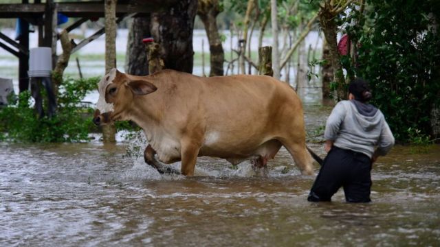 Inundaciones en Honduras por Eta