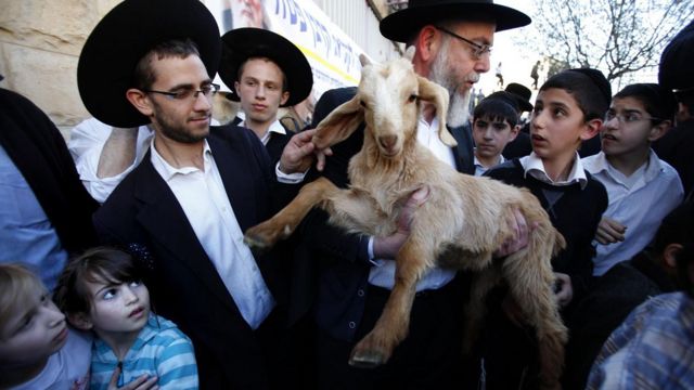 Asal usul ritual kurban kambing berasal dari kisah alkitabiah tentang eksodus bangsa Israel dari Mesir.