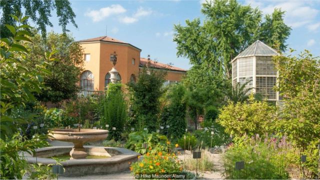 jardim botânico da Universidade de Pádua