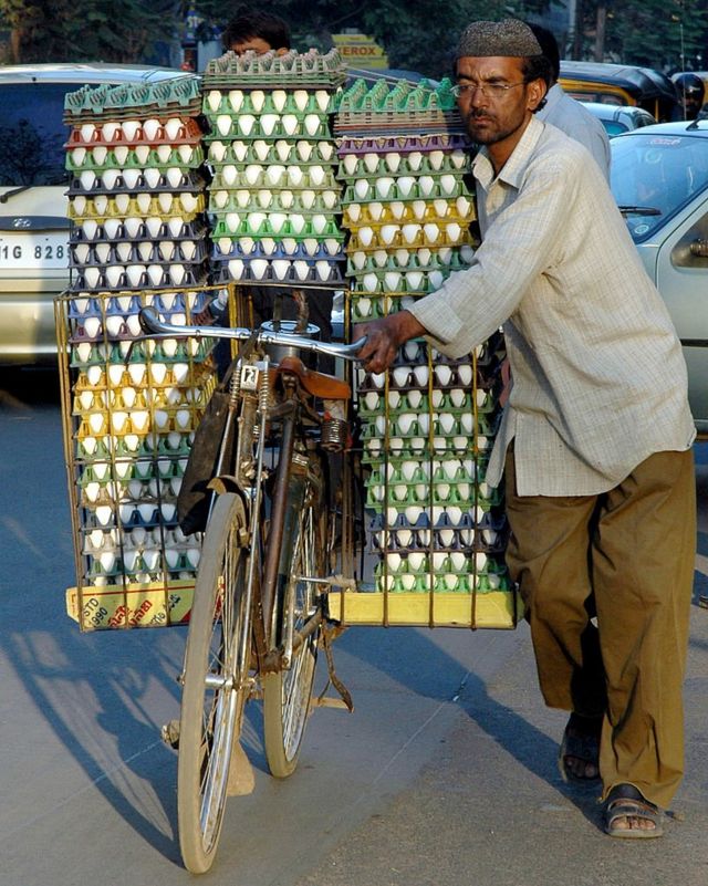 கோழி முட்டை.