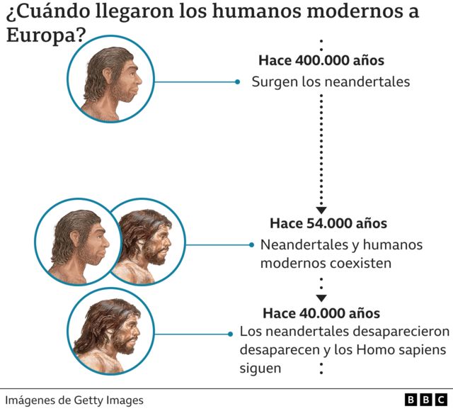 Gráfico convivencia neandertales y Homo sapiens