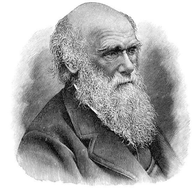 Dibujo de Charles Darwin