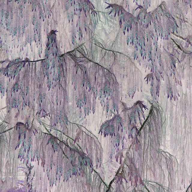 A foto abstrata de June Sharpe