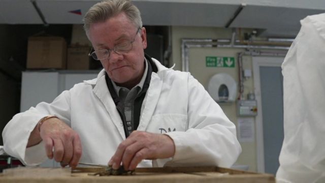 The professor spoke to BBC staff as he dissected a crab