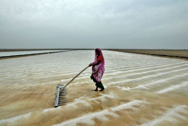 બીબીસી ગુજરાતી
