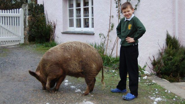 Samuel with his pet pig.
