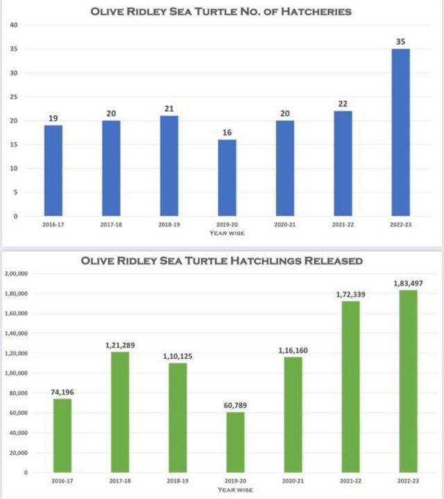 கடல் ஆமைகள் குஞ்சு பொரித்தல்