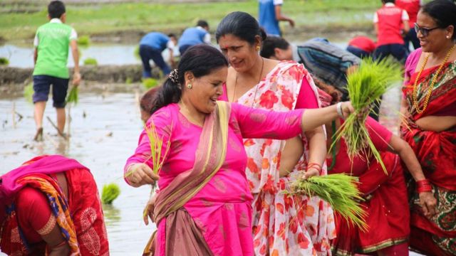 उमाकान्त