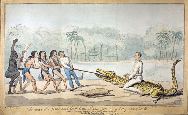 Dibujo con Waterton sobre un caimán, esclavos e indígenas