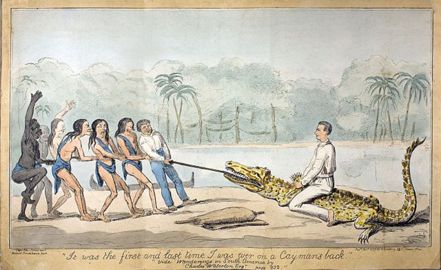 "C'était la première et la dernière fois que j'étais sur le dos d'un alligator", dit cette image tirée d'une célèbre aventure de Waterton, lors de son voyage à Demerara (Guyane) en 1820. Il est accompagné d'indigènes et d'esclaves noirs...