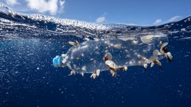 plastik atık
