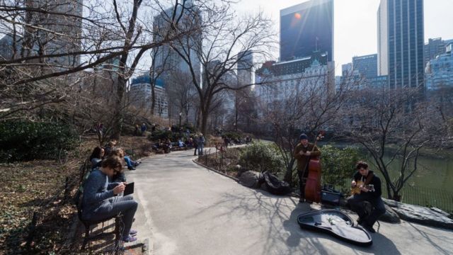 центральный парк