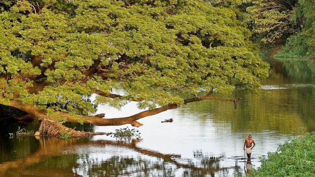 காவிரி ஆறு